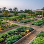 تنسيق حدائق المرقاب بالكويت بتصميم زراعي احترافي