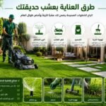 طرق العناية بعشب حديقتك