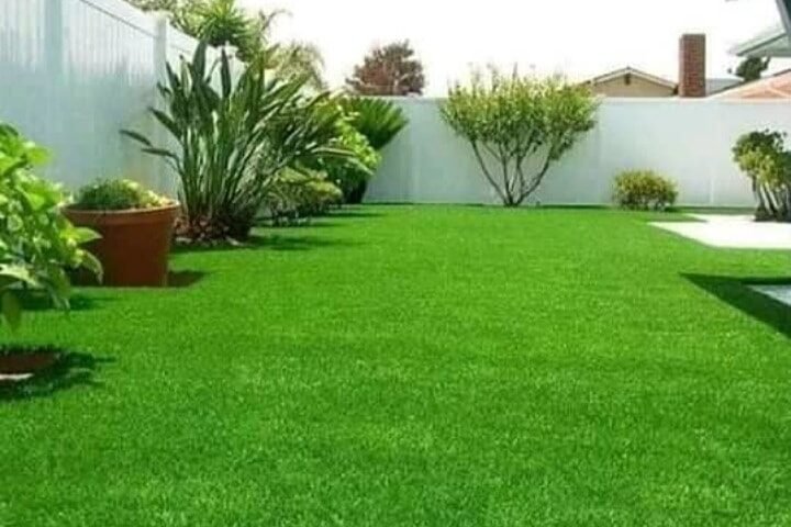 شركة تركيب ثيل طبيعي