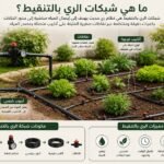 شرح شبكات الري بالتنقيط داخل حديقة منزلية