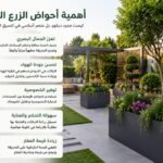 أهمية أحواض الزرع الخارجية في تنسيق الحدائق