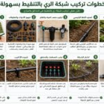 خطوات تركيب شبكة الري بالتنقيط بسهولة
