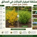 مشكلة اصفرار النباتات وعلاجها
